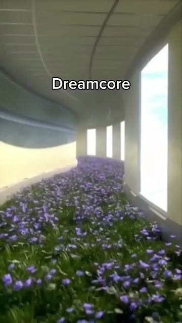 1000008710.mp4