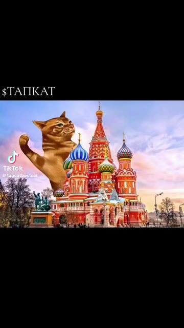 export_1766904122356.mov