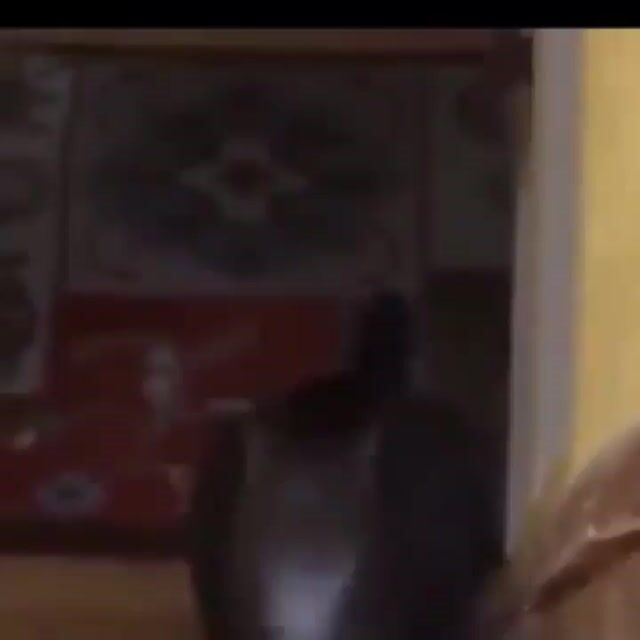 fO2RaIYEmRhc2hfYmFzZWxpbmVfMV92MREAdeoHAA_17882495125355918.mp4