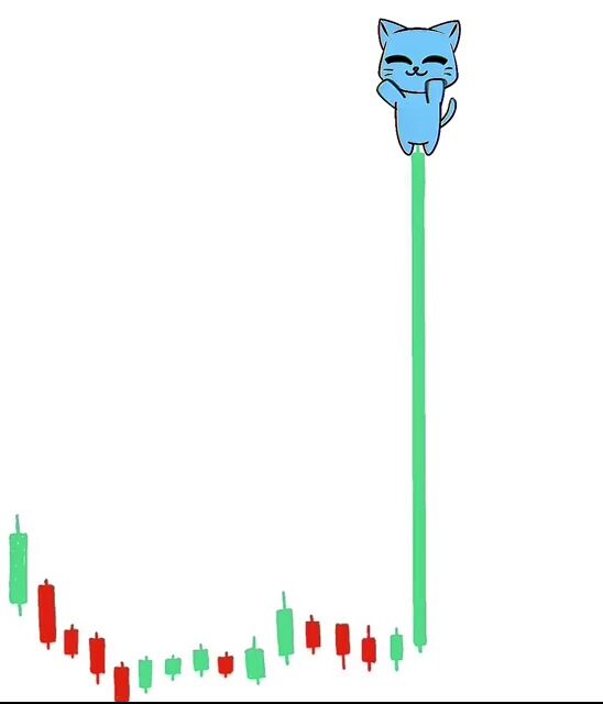 copy_0D73A357-B274-46D3-9D0A-8B9670E3B131.mov