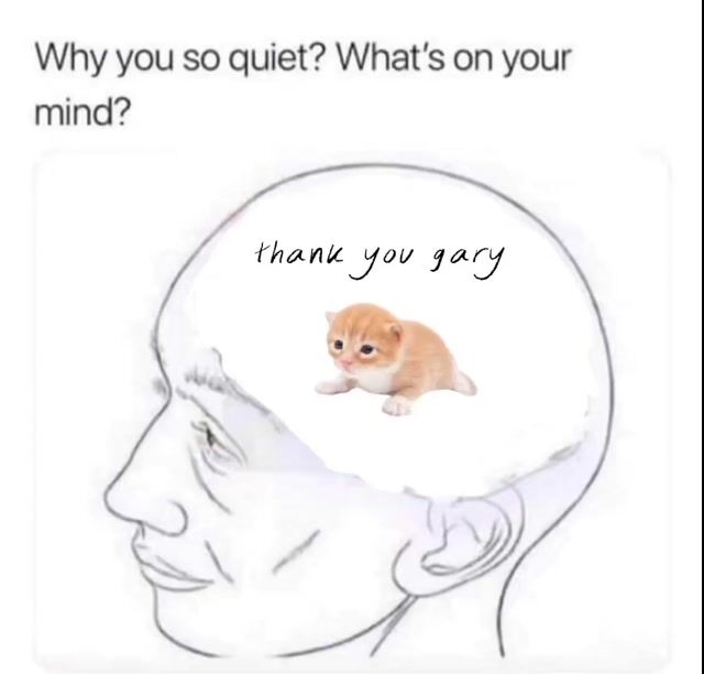 why so quiet gary.mp4