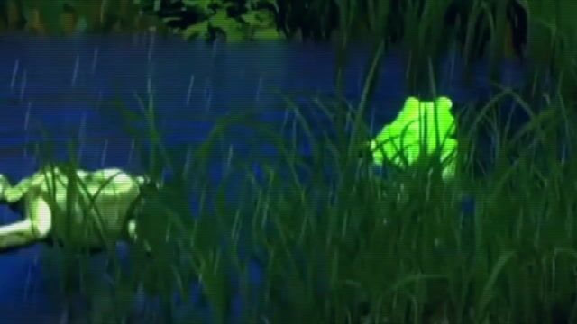 8bf491df57595fa71707eb36326b135160b6df71.mov