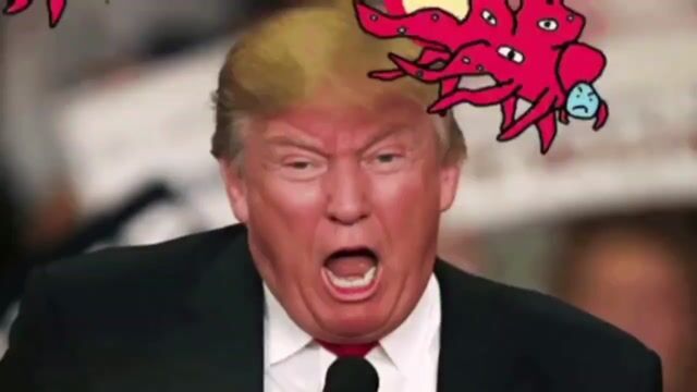 769043406181869327.mp4