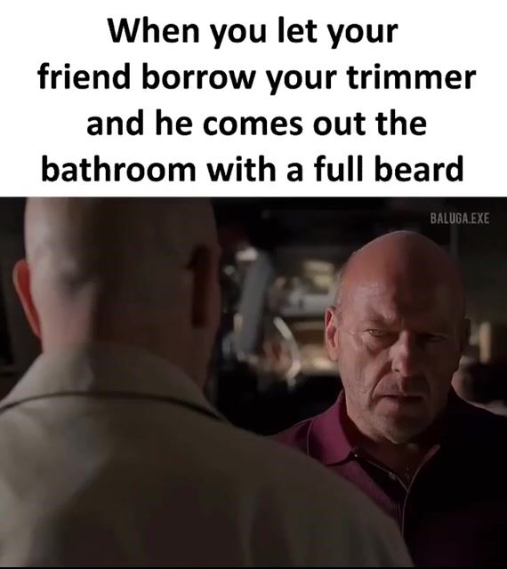 764705556-1 (75).mp4