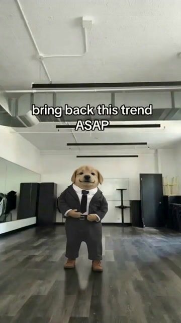 hf_20260407_040511_9a08c5b5-3904-4ad9-b599-f3790c84b398.mp4