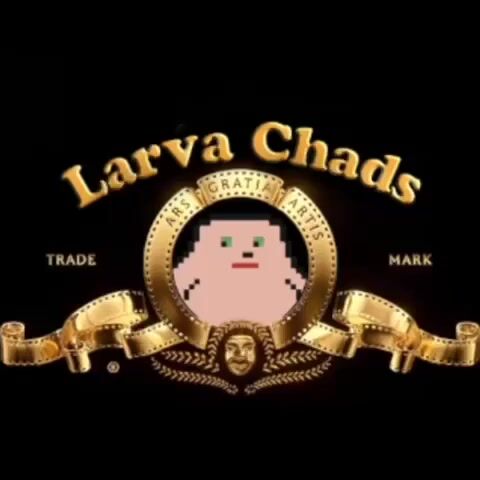 VIDEO - Hula Hood Shoop Music Dance.mov