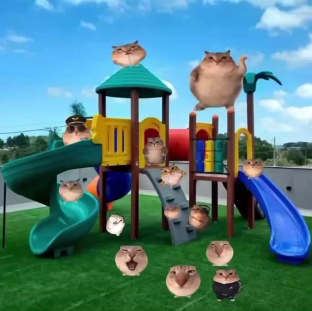 bababoi park.mp4