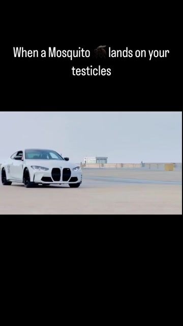 764705556-1 (77).mp4