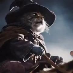 3456452968051092414.mp4