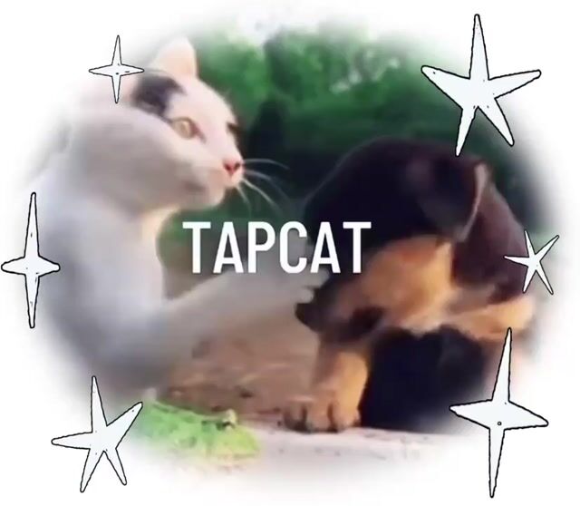 E443EBF4-BD6E-468D-8D4B-F80B09248D80.mp4