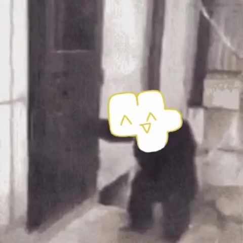 foursticker10.webm