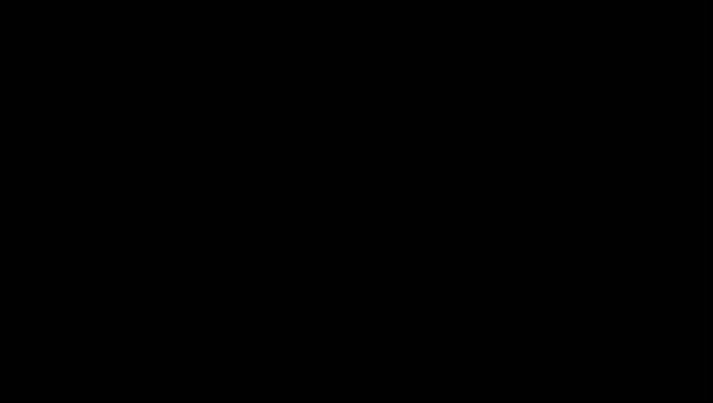 BSMR.mp4