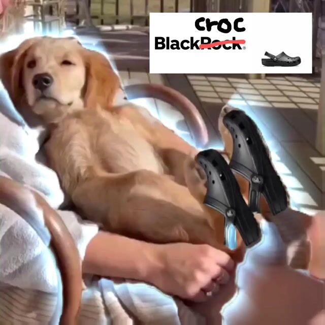 video_2024-06-01_22-04-18.mp4