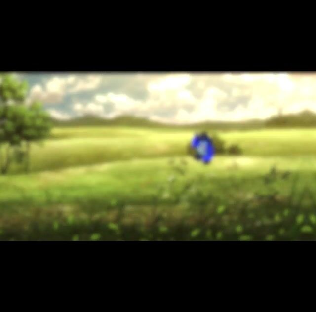 1000016912.mp4