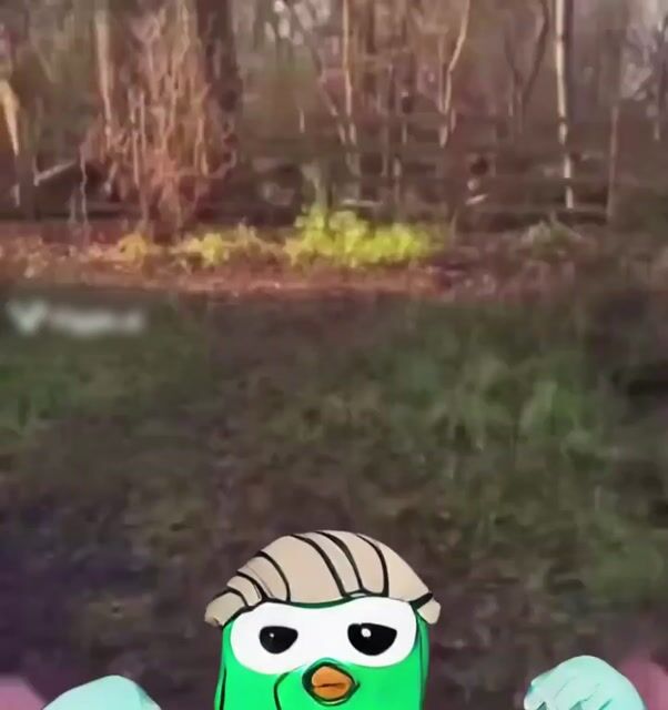 NOOOOO CHENGU SCREAM.mp4