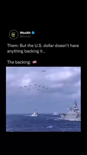 764705556-1 (69).mp4