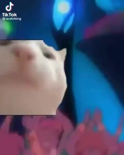 MOARRRRR.mp4