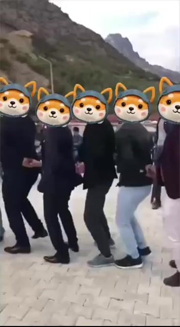 Doge Dance Crew Ready To Moon