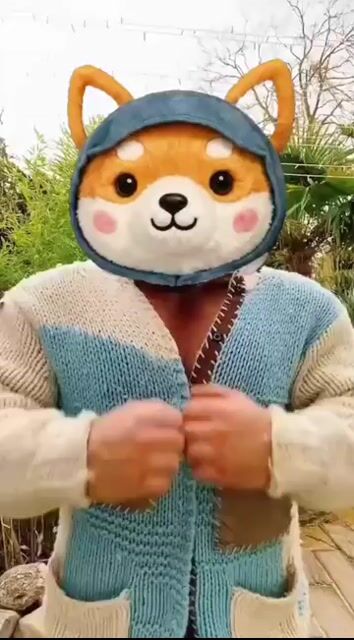 Zipping Up Cozy Crypto Pup Vibes