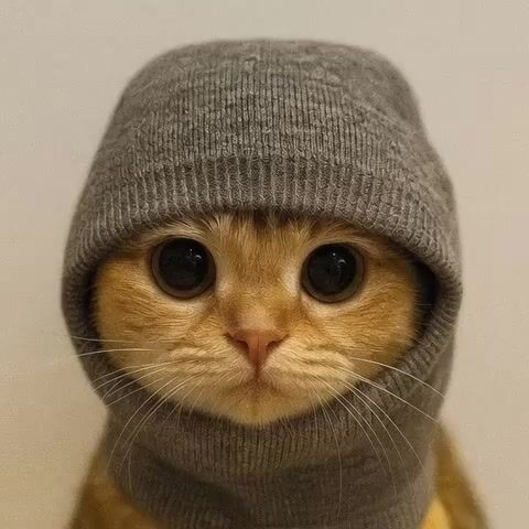 grok-video-db5011ba-e139-4569-93b1-aa77bcc1501e (3).mp4