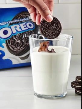 oreo milk.mp4