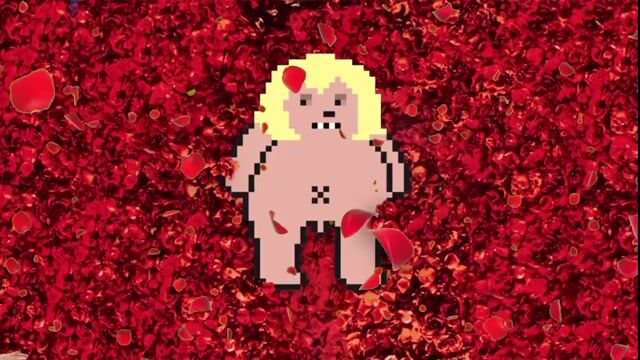 VIDEO - Roses True Romance Love Valentines.mov