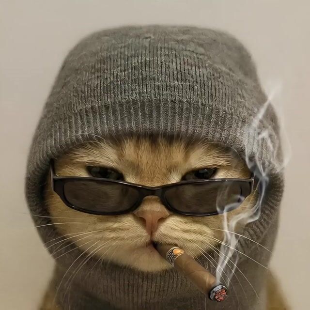 grok-video-e8e2fc3e-a024-43e0-bc74-8671c066ef38 (1).mp4