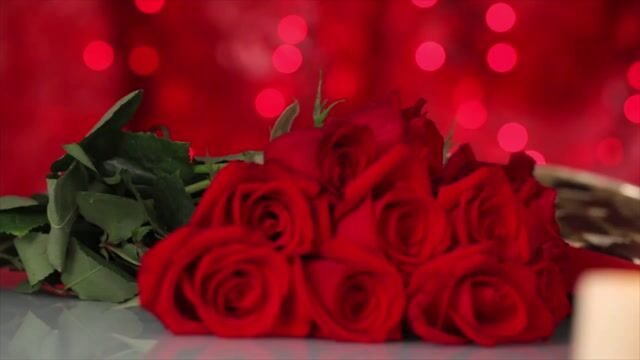 8E35CDF0-83D2-484E-91AE-5FED84E68721.MOV