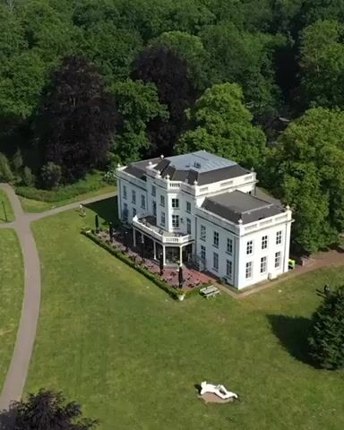 VIDEO - Gold Chad Pin Long.mov