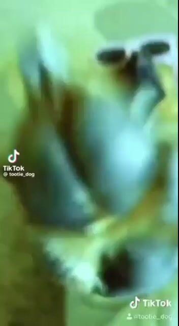 MORE!.mp4