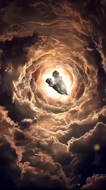 jTQQ7okZkBOLimma.mp4