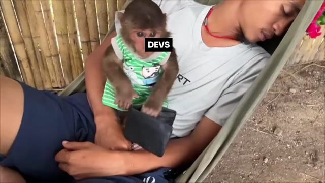 0430 (2).mp4