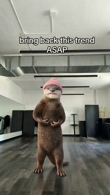 hf_20260409_033611_db465236-4f7a-4511-941d-535d9da515b1.mp4