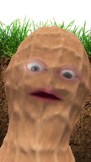 trim_ABC97D8D-8E06-4AF6-98B7-A6B46BD164B4.mp4