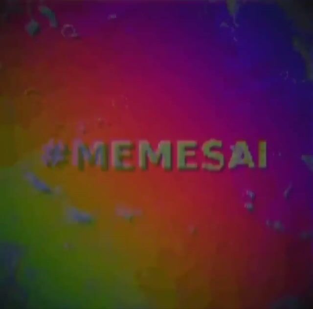 -3057005481245300681.mp4