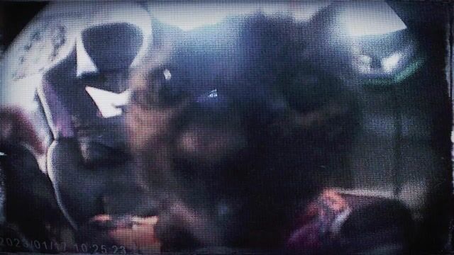 0705 (2)(3).mp4