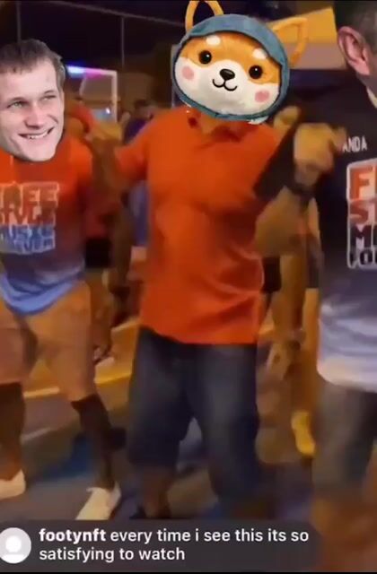 Doge's Dance Moves Are Pure Satisfaction