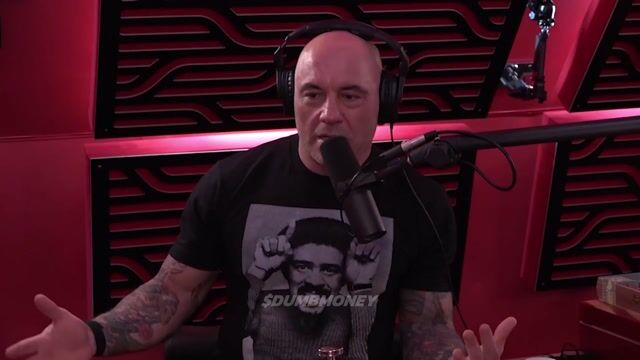 DnGsI6AYqXM0FFNp.mp4