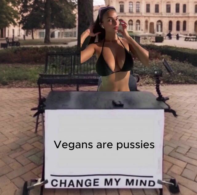 trim_F8ED1FDB-103A-4422-8BD7-5747111460CF.mp4