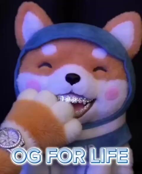 OG Shiba Flexing Diamond Grillz