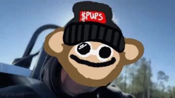 pupstoken