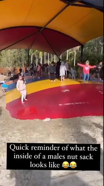 764705556-1 (66).mp4