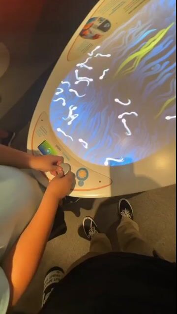 764705556-1 (56).mp4