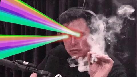 elon_smoking.mp4