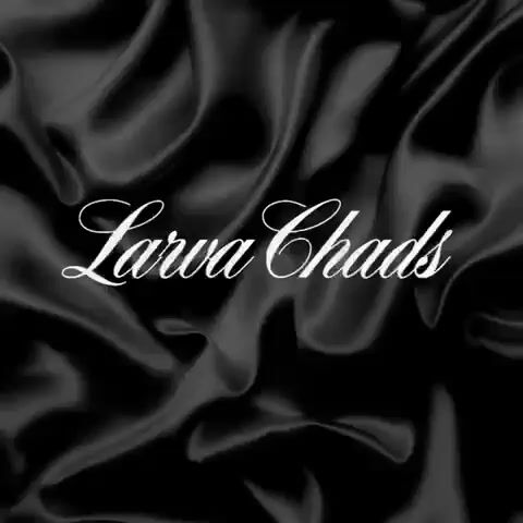 VIDEO - Music Video What A Night.mov