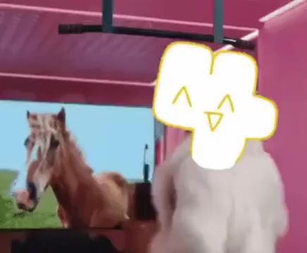 foursticker23.webm