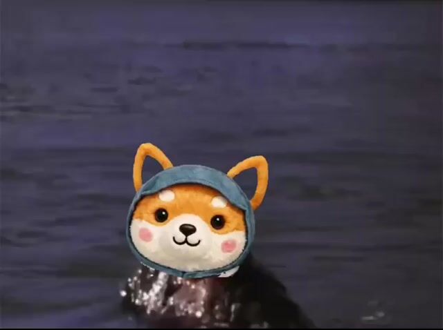 Asteroid Doge Makes A Splash