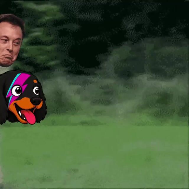 Video.mp4