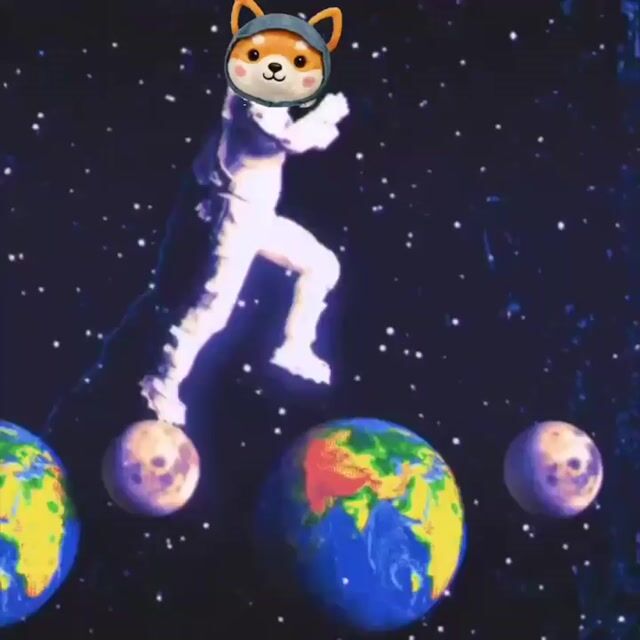 Asteroid Dog Blasts Off To The Moon
