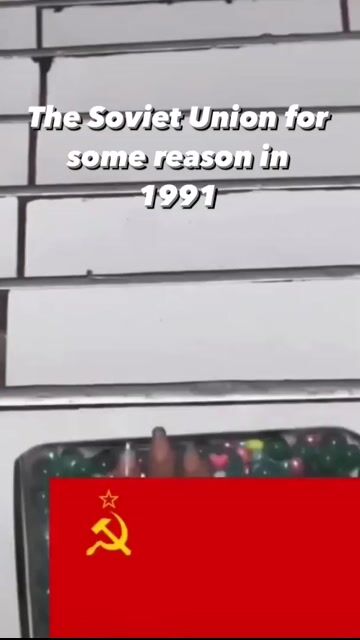 764705556-1 (70).mp4